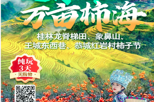 【10月10-12日】龙脊梯田·万亩杏柿—桂林龙脊梯田、象鼻山 王城东西巷、恭城红岩村柿子节、美景纯玩3天