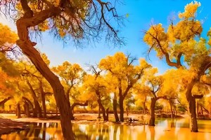 【10月7-12日】银川集合--醉美金秋额济纳胡杨林＋腾格里沙漠品质6天五晚