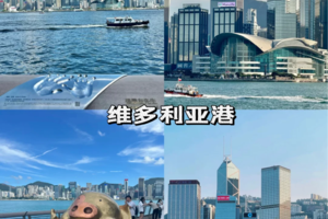 【12月14日】经典香港一日游の从黄大仙祈福到星光大道追星到太平山顶赏景到西九艺术公园漫步