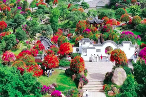 【11月30日】急召集！【广100第五站·马岭观花】藏在花都的“莫奈花园”：草原14公里千人徒步大会