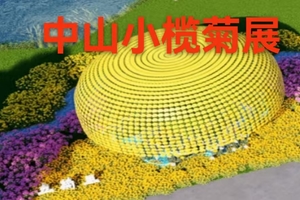 【12月14日】《潮起湾区·花香菊城》美食嘉年华&中山纯玩1日游