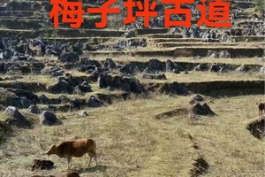 【1月24日】二期火爆--广东版“墨石公园”清远梅子坪古道徒步