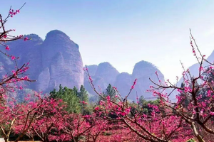 3月1日【开放报名】连平.龙南.和平｜2026粤赣古道桃花源大型徒步活动火热报名！