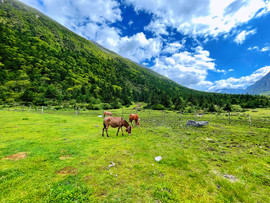 微信图片_20210802154200