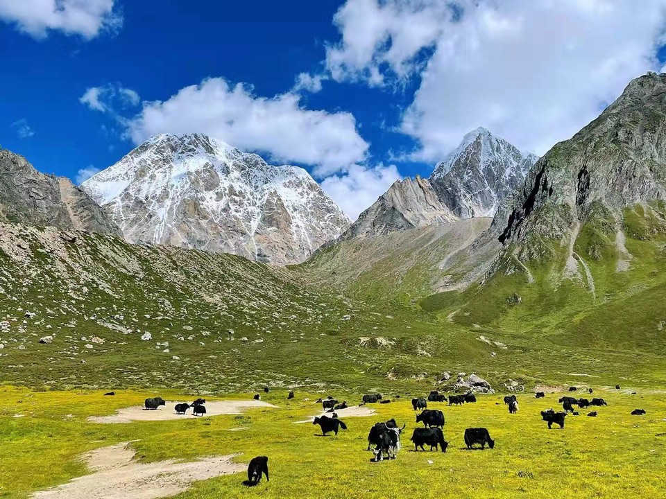 微信图片_20210802154218