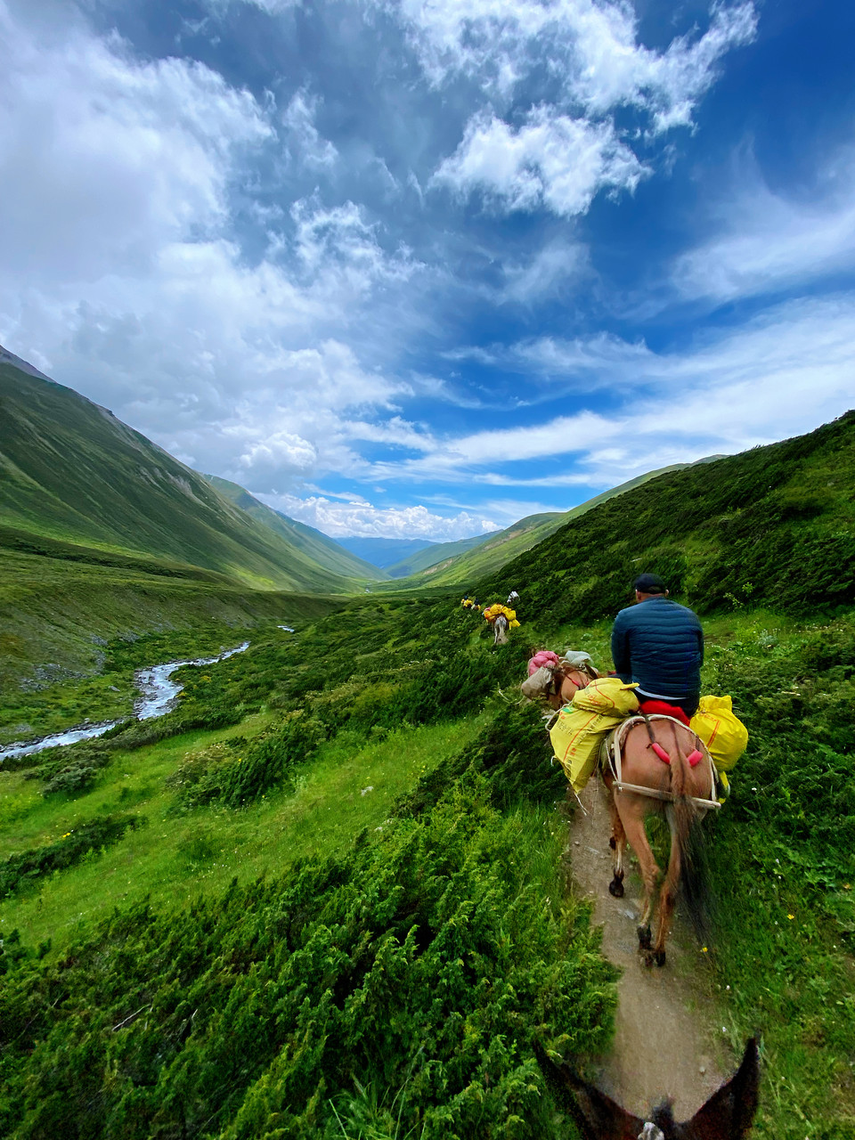 微信图片_20210802154221