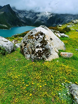 微信图片_20210803094046