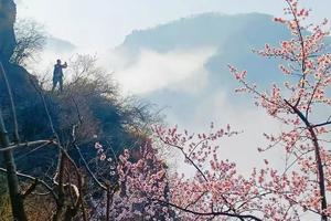 【江山户外】3月19日 周四 ｜春日限定·巩义小挂壁 达西沟·盼岱沟野桃花环线