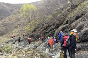 【江山户外】4月1 周三｜宜阳南寺大峡谷徒步，踏青寻趣，山野拾味！薅野韭菜啦