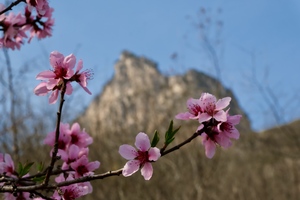 【江山户外】3月29  周日｜南太行野线徒步｜焦作云台山·百家岩·孝女塔·户外野炊活动