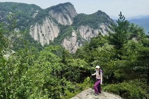 【江山户外】4月5假期第二天｜ 嵩县攻离山·登顶1887海拔‘‘中原小黄山’’