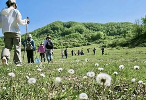 江山户外・团建|   伏牛山秘境 2 天 1 夜 徒步吸氧｜溪水捞鱼｜篝火烧烤｜山野农家