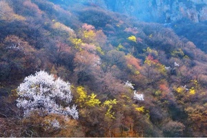 2022.03.13（周日）【江山户外】探春后寺河-十八弯徒步14km一日休闲徒步活动