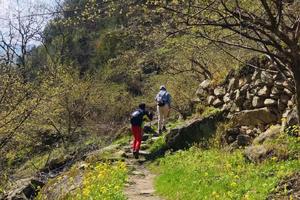 【江山户外·团建】2022.04.04  周一 儿童之家踏春赏花11km一日徒步活动