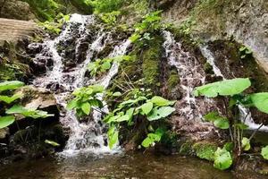 2022.7.30(周六)【江山户外】栾川板叉沟-王府竹海10km徒步+免费品尝江山牌馄饨一日活动