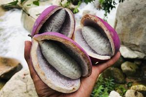 2022.9.12（周一）【江山户外】宜阳七峪沟采摘八月炸品大锅烩菜10km一日徒步活动