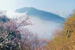 2023.3.18周六【江山户外】巩义达西沟~小挂壁~青龙潭~慈云寺~梨拐沟+野炊鸡块香菇刀削面一日8公里休闲徒步活动