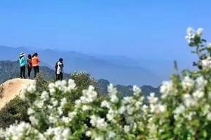 4.16（周日）洛宁自驾团建活动