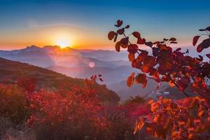 2023.10.11（周三）【江山户外】嵩山西山脊赏红叶--朝圣坡--三皇寨-五花坪--少林寺一日12km休闲徒步活动