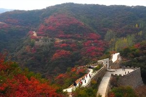 11月4日周六【江山户外】巩义浮戏山小长城--红叶岭--逍遥谷--小龙池一日休闲徒步10公里活动