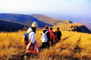 【江山户外·团建】11月 中原武功山”黄金大草原一日9km登山徒步+山顶吃馄饨活动