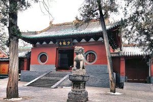 2024.3.10（周日）【江山户外】嵩山少室山野线路穿西山脊--- 三皇寨---少林寺景区一日12km登山徒步活动