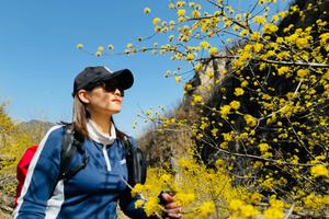 2024.3.31周日【江山亲子线路】第四期 经典线路--嵩县白鹰河看山茱萸--野桃花一日10km徒步+吃山野大骨汤米线