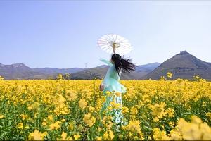 2024.03.30周六【江山户外】踏春偃师牛心山赏油菜花---洪江寺看桃花---薅野小葱挖野菜一日12km休闲徒步活动