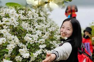 2024.4.21（周日）【江山户外】洛宁神灵寨~狮子坑野线穿越~看白鹃梅~薅野韭菜~山野烧烤一日休闲徒步8km活动