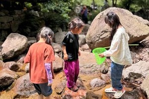 【江山户外·团建】2024.7.1 周一 川伊河源一日8km玩水捞鱼，溪水边野炊一起DIY制作山野馄饨