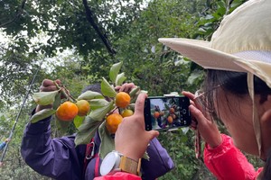 2024.9.21(周六)【江山户外】嵩县车村净池沟一日7km徒步穿摘板栗+大锅烩菜活动