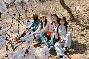 【江山户外】3月23  周日  第二期  赏花线路  密伏義山观杏花--香炉山--魏长城遗址~休闲活动