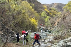 清明假第二天  【江山户外】4月5周六 ～宜阳曹窑·薅野韭菜·逮螃蟹·挖野菜·山里包馄饨活动