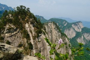 【江山户外·成人活动】6月2 端午第三天·嵩县攻离山·赏大叶野百合花·登顶1887海拔‘‘中原小黄山’’