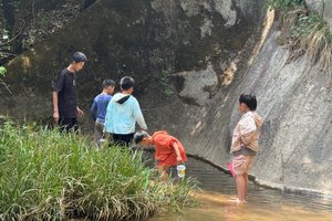 【江山户外·亲子活动】6月2 端午第三天·嵩县白河源·玩水捞鱼·赏大叶野百合花·野炊牛肉刀削面