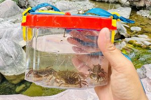 【江山户外·亲子活动】6月1 端午第二天 ·山西杨柏大峡谷·亲子遛娃玩水·捞鱼逮螃蟹·户外野炊烧烤