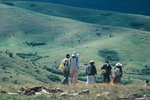 【江山户外】  第一期  6月11  周三·山西圣王坪高山草甸·赏 狼毒花·邂逅华北最大的“阿勒泰草原” 