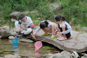 【江山户外】6月29 周日 ·亲子线路～尧山想马河·碧水映青山·野趣醉人间，溯溪玩水捞鱼捉虾 