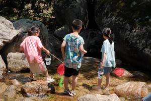 【江山户外】8月3· 周日 ·栾川伊河源·亲子遛娃轻徒步·玩水捞鱼·户外野炊包馄饨活动