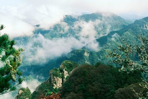 【江山户外·成人团】9月20  周六  秋日全宝山第二期觅食--藏在豫西的‘’小西双版纳‘’的宝藏