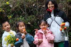 【起点幼儿之家】10月31  周五    "秋意浓 · 叶正红"焦作赏红叶啦--徒步4km＋中午山野馄饨＋采摘冬桃