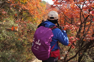 【江山户外·亲子线路】11月8 周六 柏峪村野线路-达摩洞-塔林-少林寺：一条集峡谷、红叶、禅宗文化与一身的宝藏路线