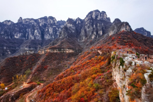 【江山户外】 11月15   周六  漫步太行秘境｜紫霞关  ·  三尺崖  ·  白云寺赏银杏，绝壁古寺金叶