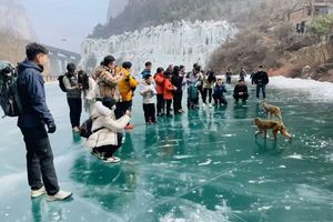 【江山户外】2月7 （周六） “冰雪奇缘通天峡”太行山赏冰瀑--玩溜冰--感受冬日冰河世纪的绝美风景
