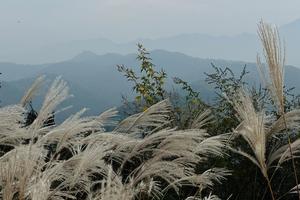 2023.10.28（周六）【江山户外】宜阳花果后山红叶岭东线西线一日12km休闲徒步穿越+免费吃鸡块刀削面活动