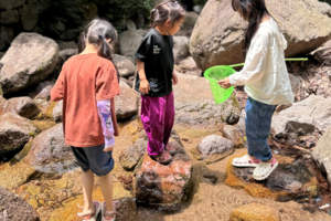 【江山户外】7月27· 周日 ·栾川伊河源·亲子遛娃轻徒步·玩水捞鱼·户外野炊包馄饨活动