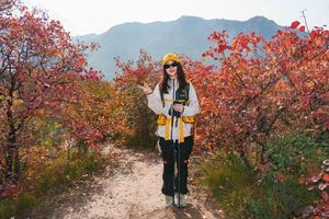 2025.11.1（周六）洛宁县 | 熊耳山八百坡---酒槽沟8公里休闲徒步、赏秋天红叶、野炊包馄饨