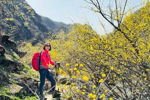 【江山户外】3月7 周六 第一期 嵩县车村白鹰河赏山茱萸花+户外野炊包馄饨