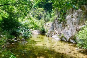 【江山户外】栾川伊河源一日8km轻徒步~溪水边集体包馄饨活动