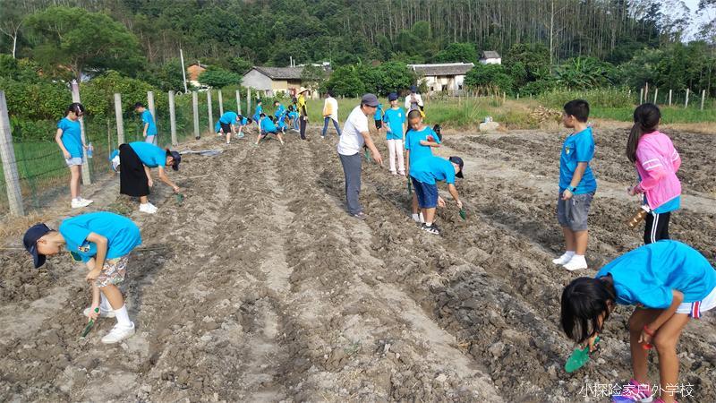 QQ图片20170825165017